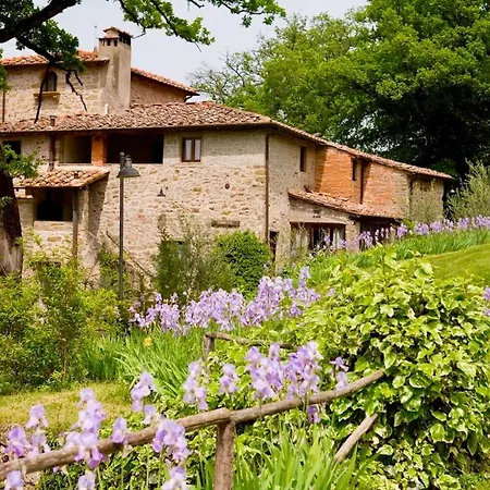 Isa-farmhouse With Swimming-pool In Chianti-area In The Middle Of Tuscan Nature